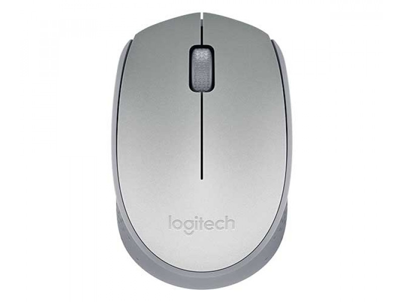 Mouse Logitech M170