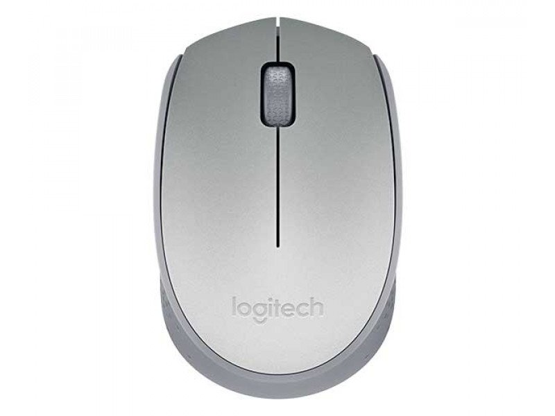 Mouse Logitech M170